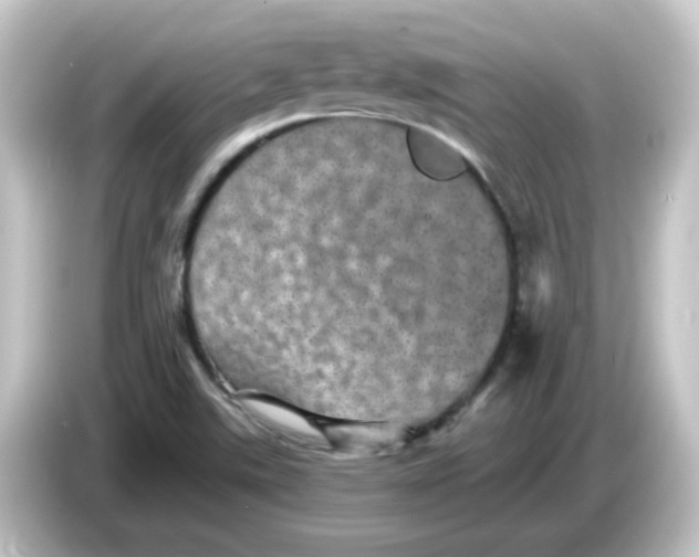 X0000084571507200703161713