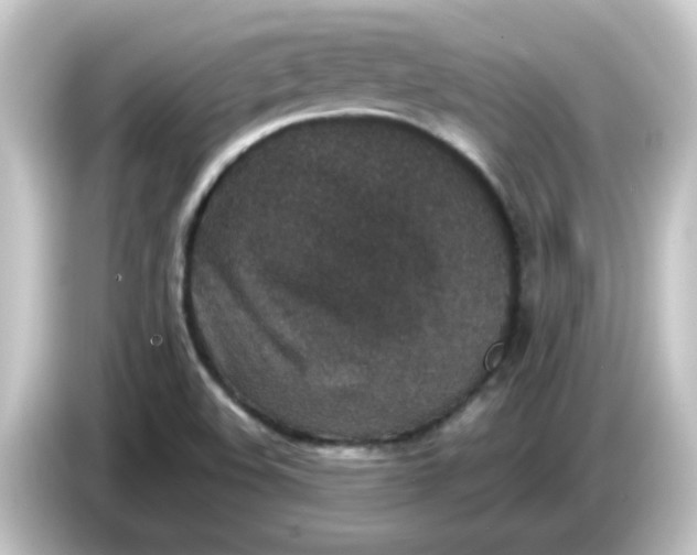 X0000084571508200703161713