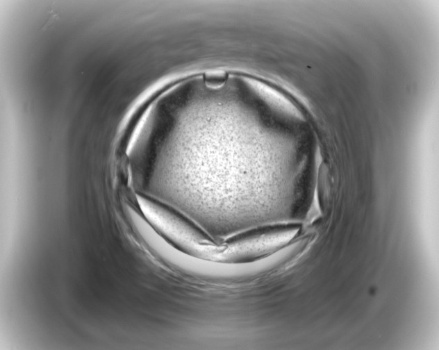 X0000084571510200703161713