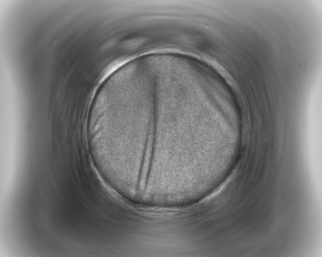 X0000084571513200703161713