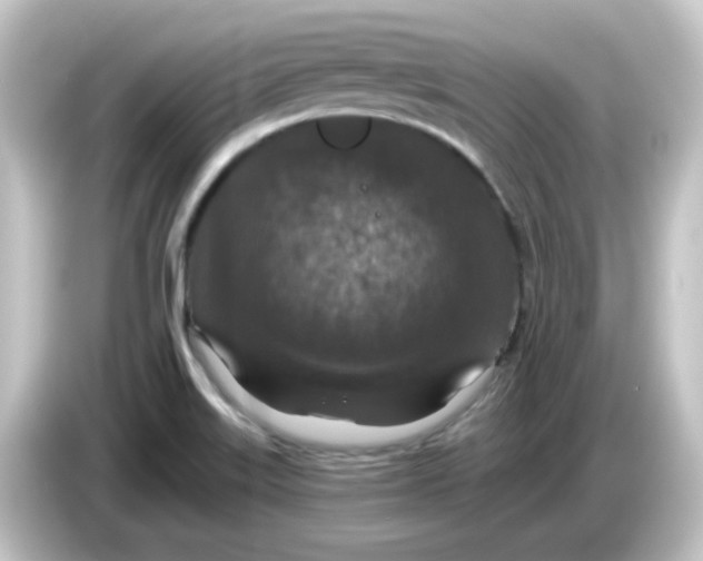 X0000084571515200703161713