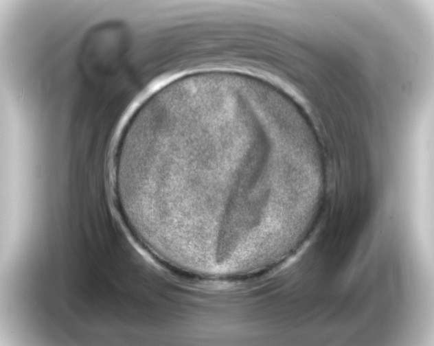 X0000084571517200703161713
