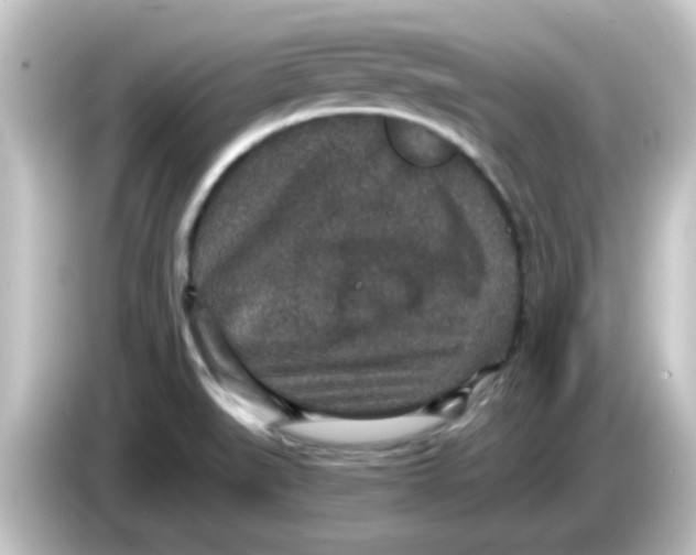 X0000084571519200703161713