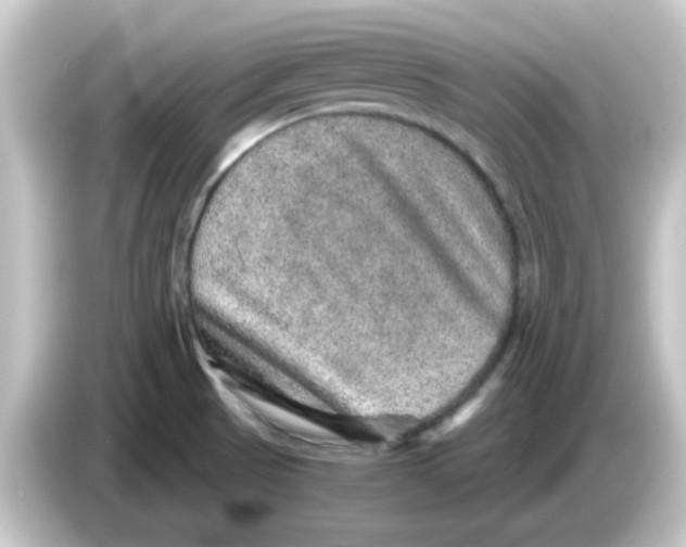 X0000084571521200703161713