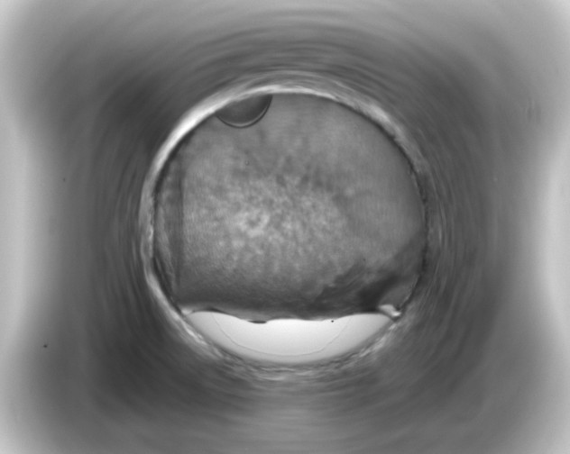 X0000084571522200703161713