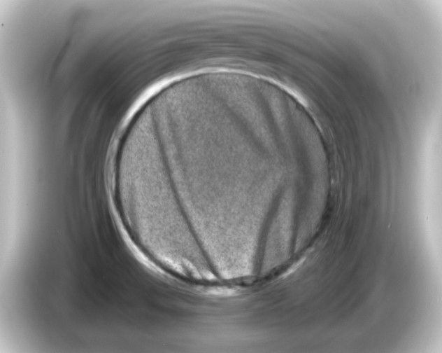 X0000084571523200703161713