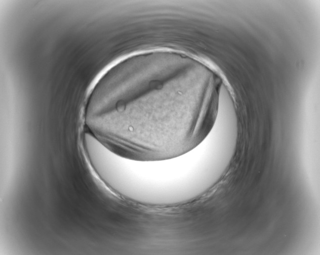 X0000084571524200703161713