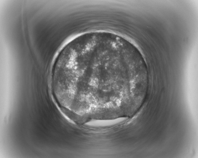 X0000084571525200703161713
