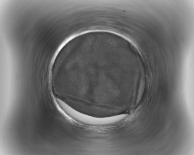 X0000084571527200703161713