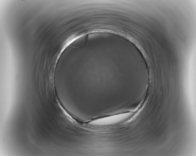 X0000084571529200703161713