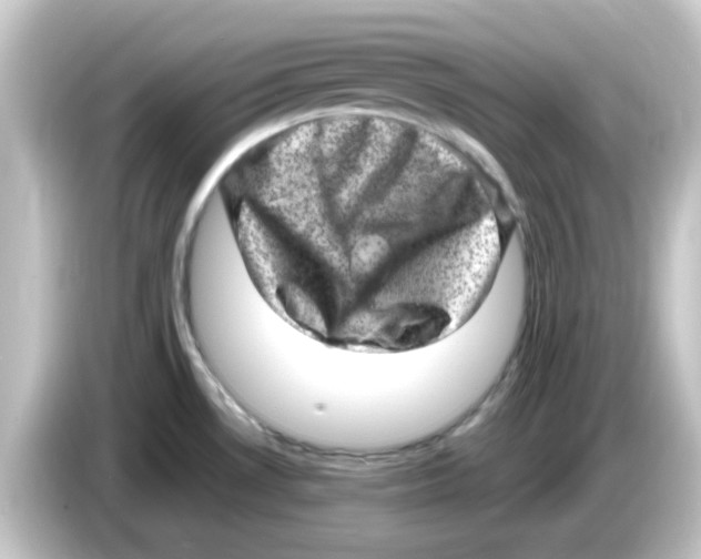 X0000084571530200703161713