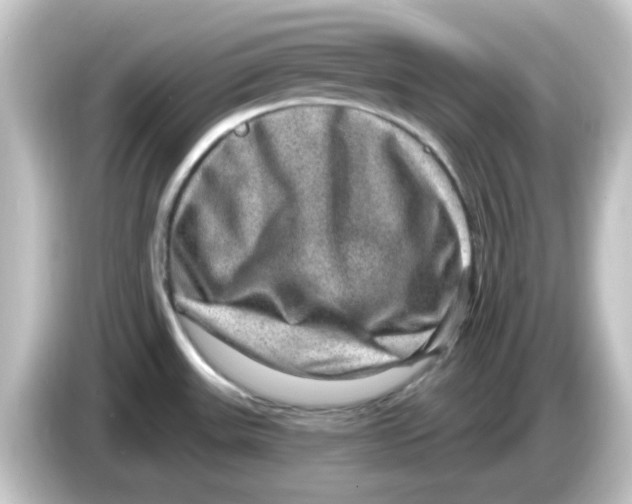X0000084571531200703161713