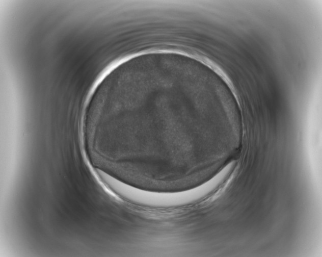 X0000084571533200703161713