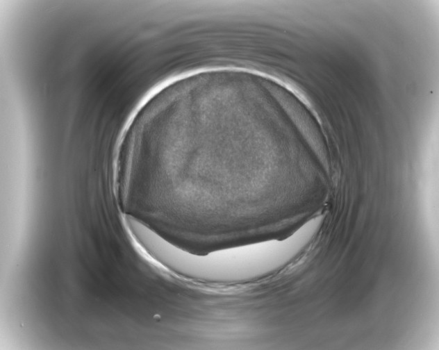 X0000084571535200703161713