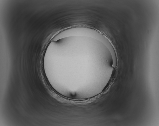 X0000084570001200703231831