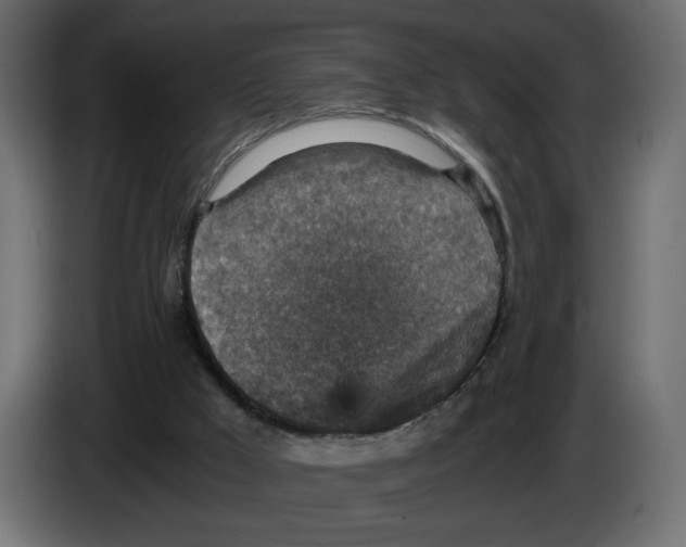 X0000084570009200703231831