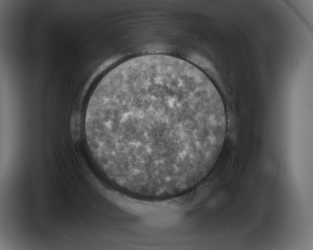 X0000084570012200703231831