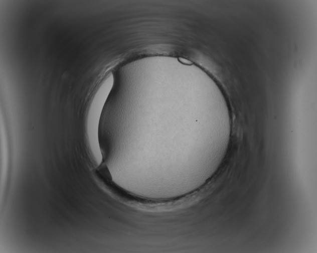 X0000084570013200703231831