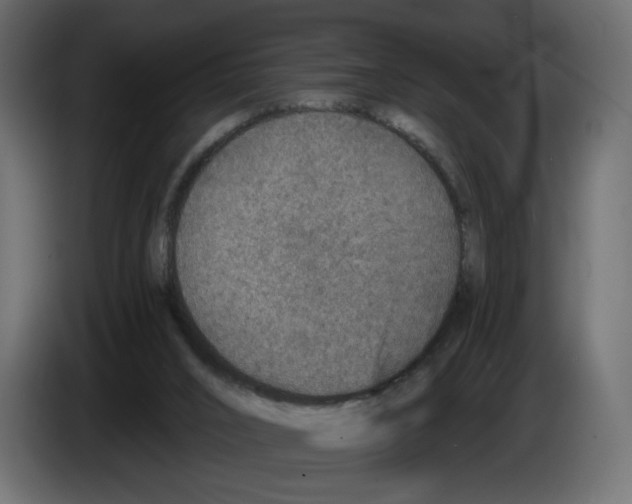 X0000084570016200703231831