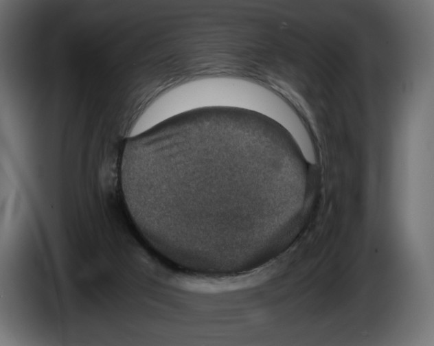 X0000084570017200703231831