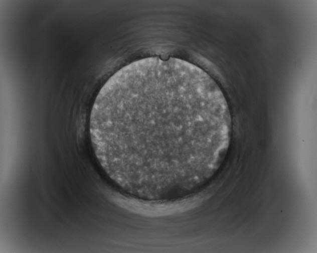 X0000084570018200703231831