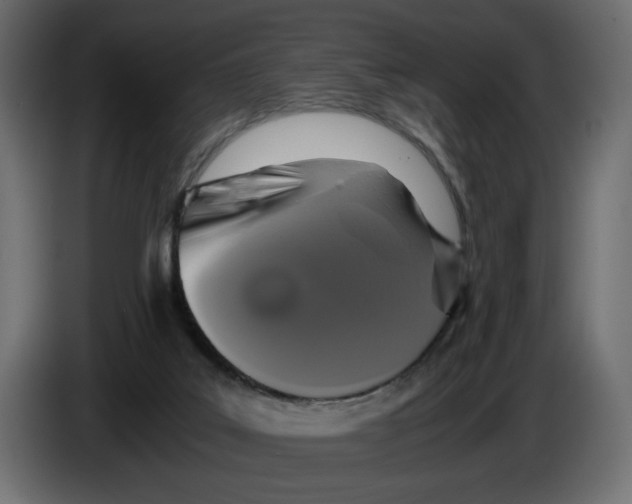 X0000084570019200703231831