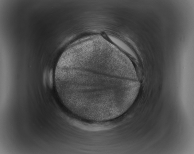 X0000084570020200703231831