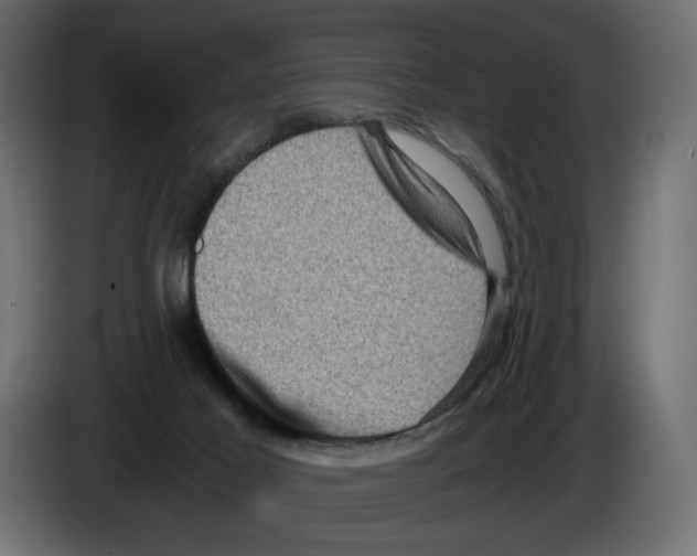 X0000084570021200703231831