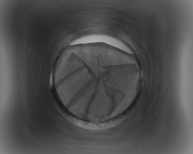 X0000084570022200703231831