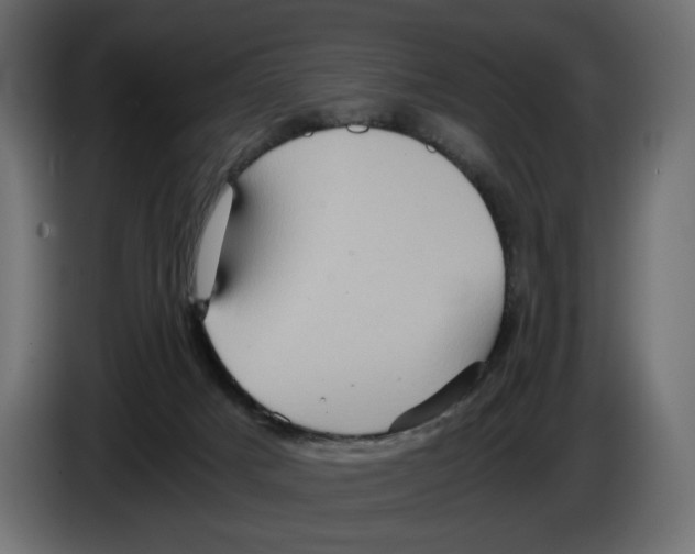 X0000084570025200703231831