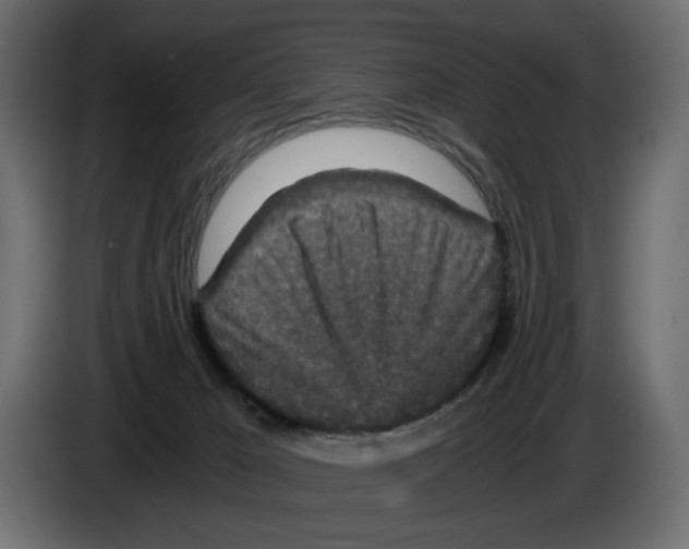 X0000084570029200703231831