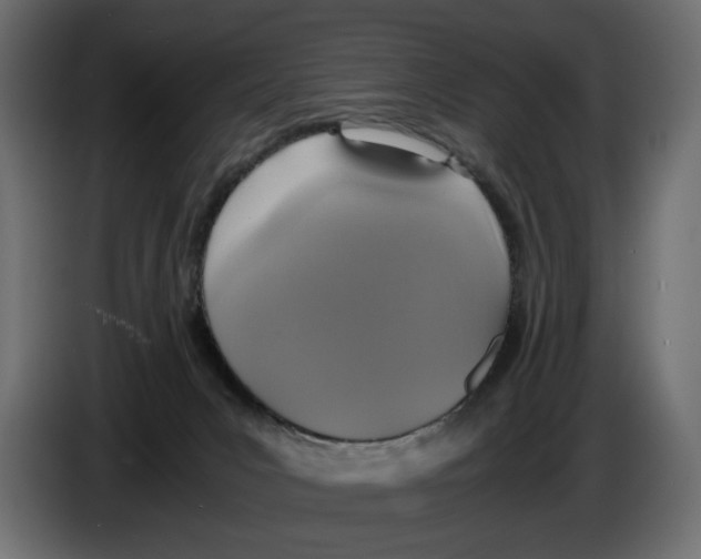 X0000084570031200703231831