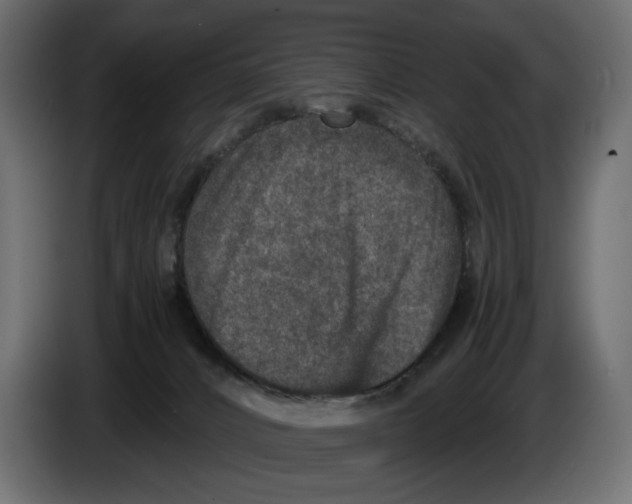 X0000084570032200703231831