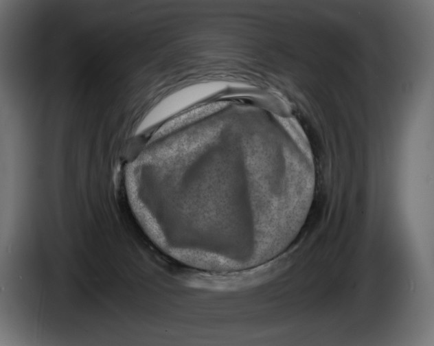 X0000084570033200703231831