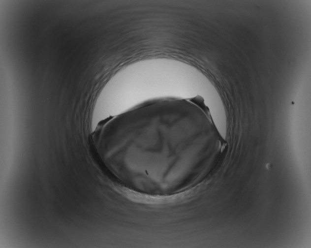 X0000084570039200703231831