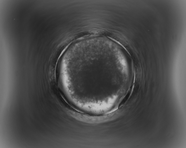 X0000084570043200703231831