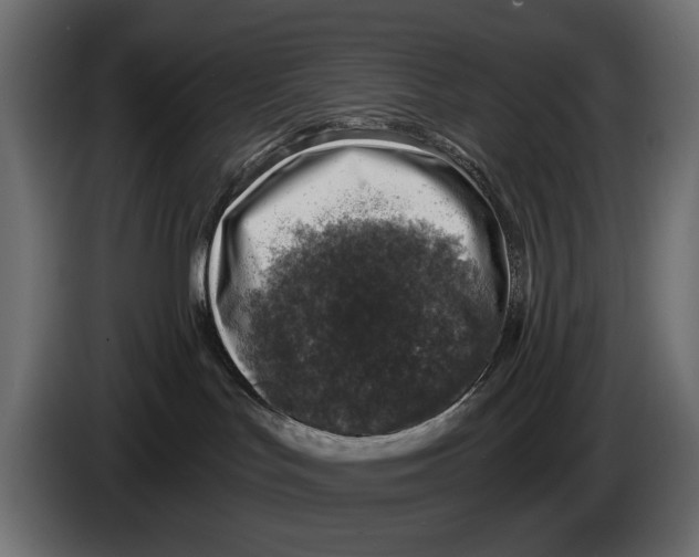 X0000084570047200703231831