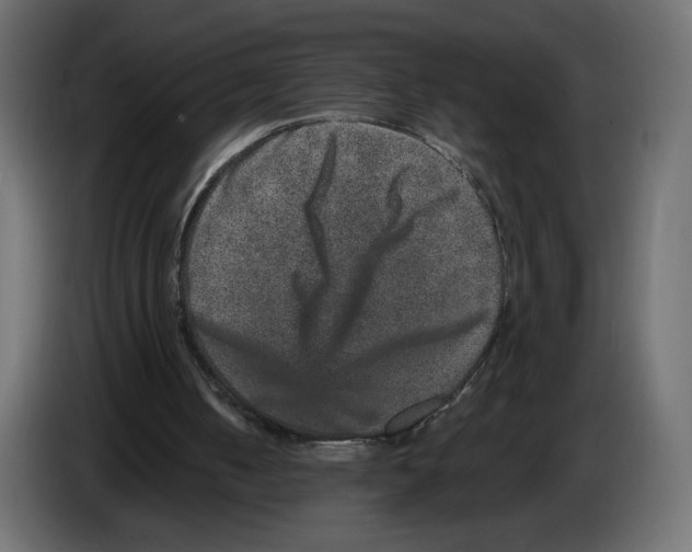 X0000084570050200703231830