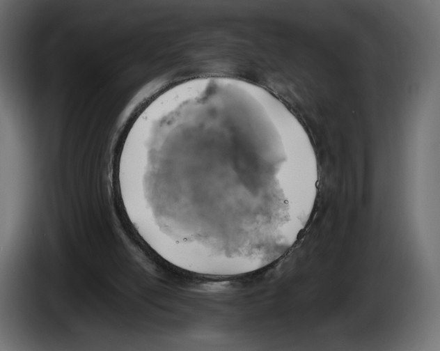 X0000084570054200703231830