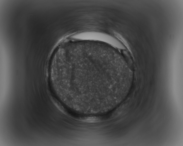 X0000084570059200703231830