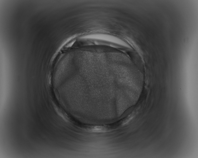 X0000084570060200703231830