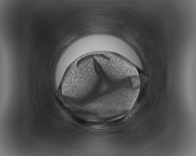 X0000084570066200703231830