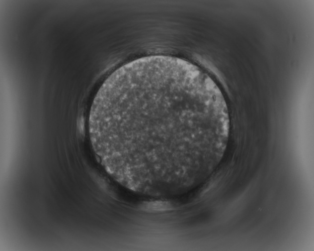 X0000084570067200703231830