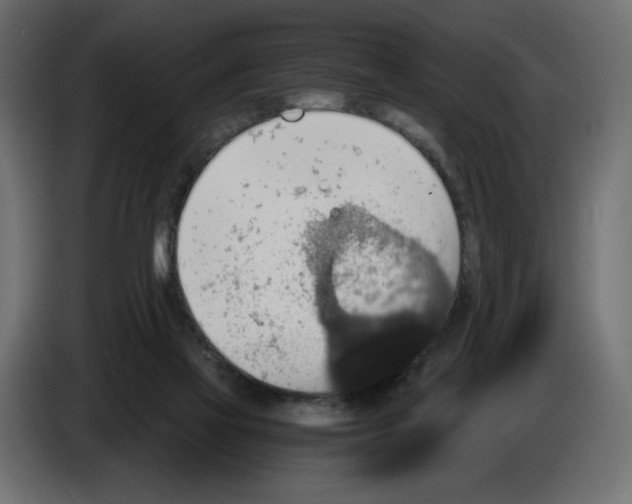 X0000084570069200703231830