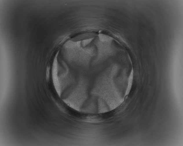 X0000084570070200703231830