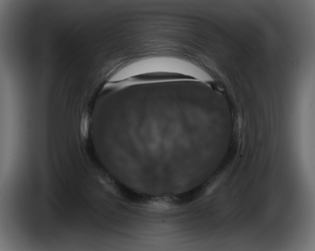 X0000084570076200703231830