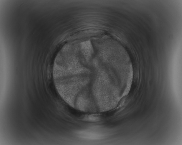 X0000084570078200703231830