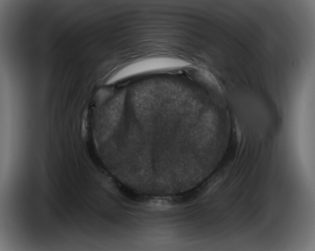 X0000084570080200703231831