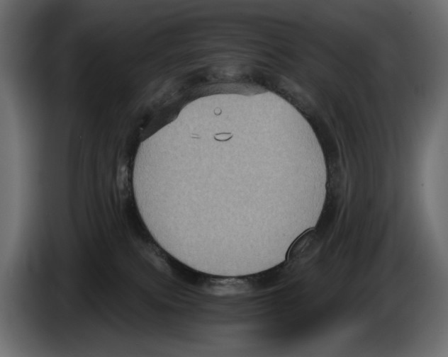 X0000084570087200703231831