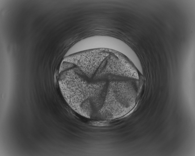 X0000084570094200703231831